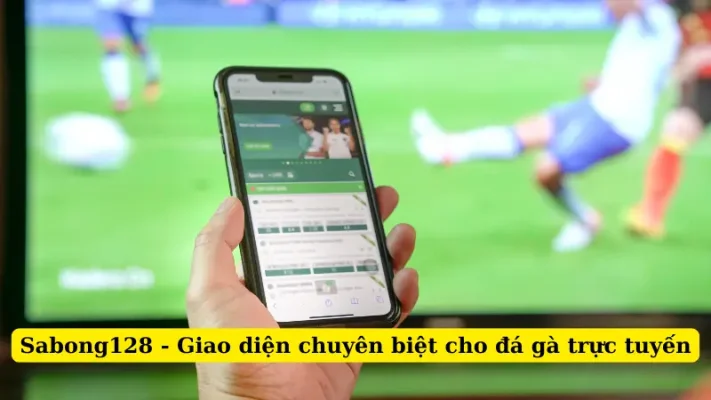 Sabong128 - Giao diện chuyên biệt cho đá gà trực tuyến
